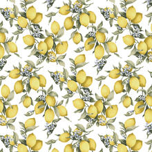 TOVAGLIA ANTIMACCHIA X12 CM 140X240 