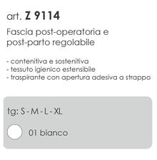 FASCIA ELASTICA 