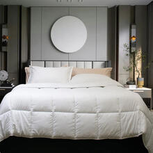 IMBOTTITURA PIUMINO 1 PIAZZA CM 155X205 