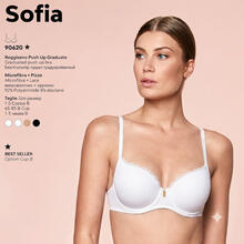 REGGISENO BORDO PIZZO COPPA GRADUATA COPPA B 