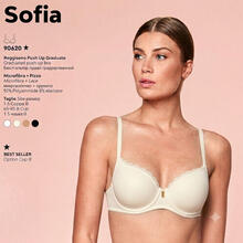 REGGISENO BORDO PIZZO COPPA GRADUATA COPPA B 