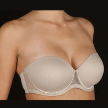 REGGISENO A FASCIA COPPA C 