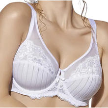 REGGISENO COPPA D 