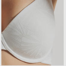 REGGISENO DAMASCATO COPPA C 