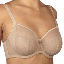 REGGISENO SFODERATO COPPA C 