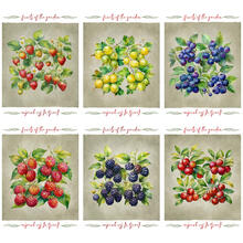 SET 6 STROFINACCICOTONE CM 50X70 STAMPA DIGITALE 