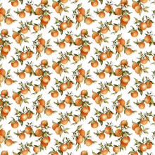 TOVAGLIA ANTIMACCHIA X12 CM 140X240 