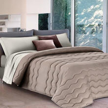 TRAPUNTA 1 PIAZZA MEZZA BICOLOR MICROFIBRA CM 220X270 