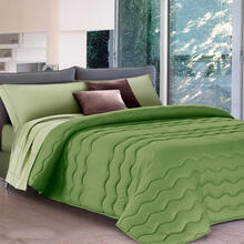 TRAPUNTA 1 PIAZZA MEZZA BICOLOR MICROFIBRA CM 220X270 