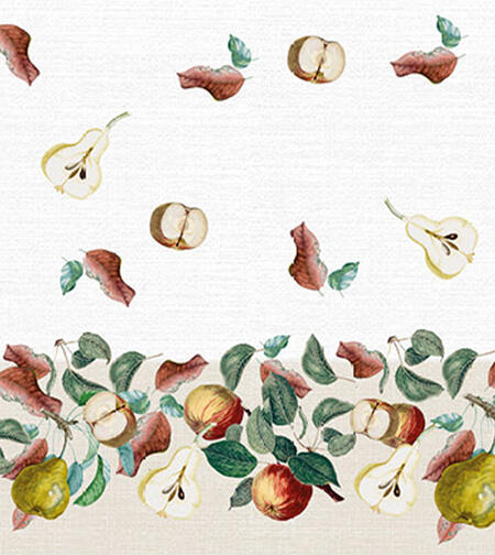 servizio-da-tavola-x12-140x240-con-tovaglioli-cm40x40