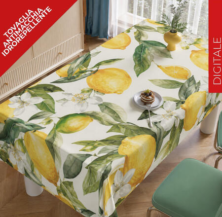 tovaglia-antimacchia-x-12-cm-140x240-67184