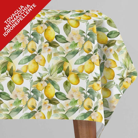 tovaglia-antimacchia-x12-cm-140x230-idrorepellente-66871