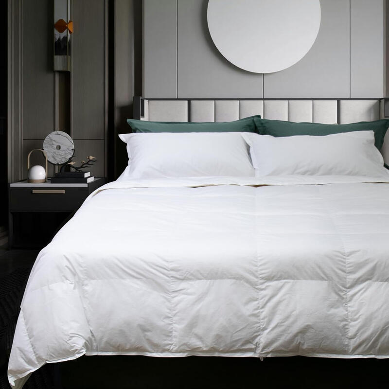 INTERNO PIUMINO 1 PIAZZA PIUMA D OCA CM 155X205 BuyBuy24 Abbilgiamento e Biancheria